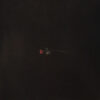 Vivienne Mort - Досвід (CD, Album) (Mint (M)) - Image 5