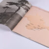 Jamala (2) - Qirim (2xLP, Album, Ltd, Tra) (Mint (M)) - Image 5