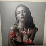 Тина Кароль-1