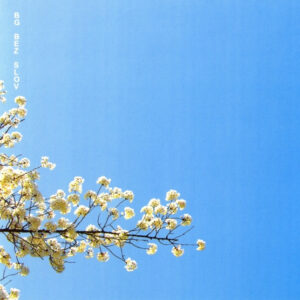 Борис Гребенщиков-0