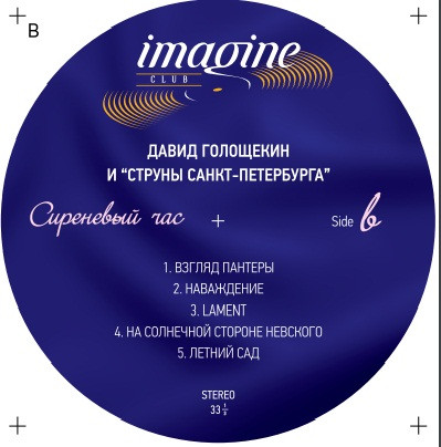 Давид Голощекин И Струны Санкт-Петербурга-2