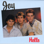 Joy (9)-1