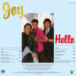Joy (9)-1