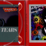 Fancy-3