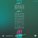 Joy (9)-2