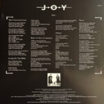 Joy (9)-2