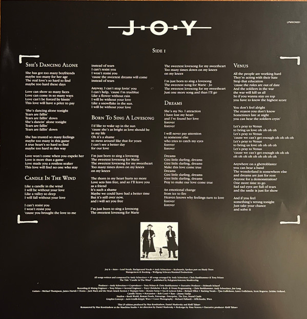 Joy (9)-2
