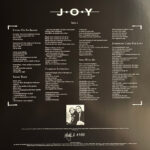 Joy (9)-3