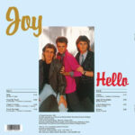 Joy (9)-1